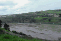 pueblo_boria_santillan.gif (76845 bytes)