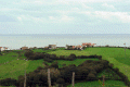 pueblo_losllanos.gif (77096 bytes)